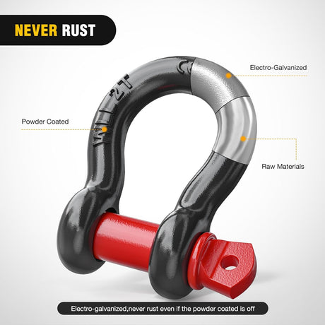 1/2 Inch D-Ring Shackle (Pair) Nilight