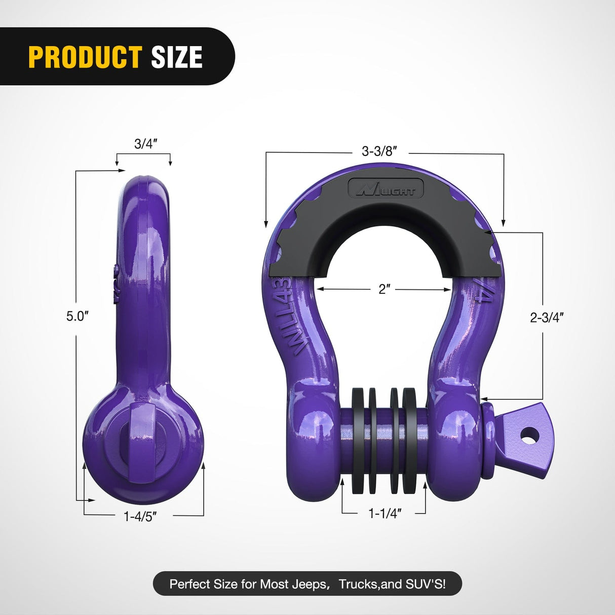 3/4 inch D-Ring Shackle Purple (Pair)